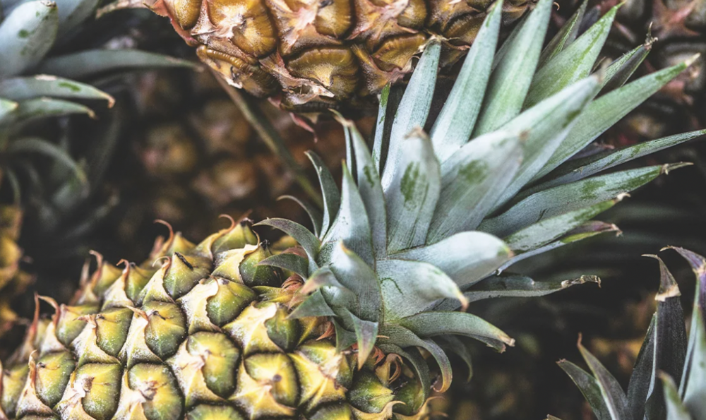 İnsanların bağışıklık sistemi hakkında yeni buluş!