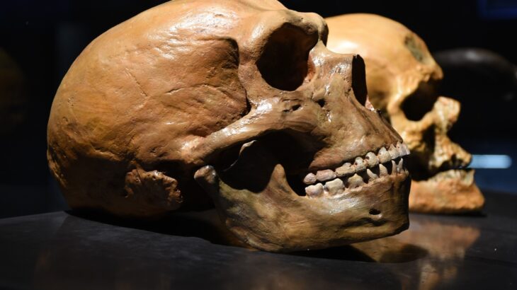 Homo Sapiens Neandertaller hakkında şaşırtıcı buluş! 29 Homo Sapiens Neandertaller hakkında şaşırtıcı buluş!