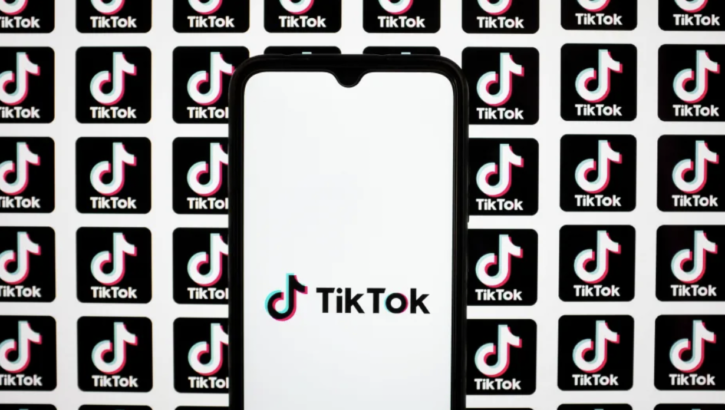 TikTok karşı hukuki mücadele