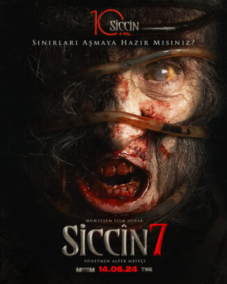 Siccin