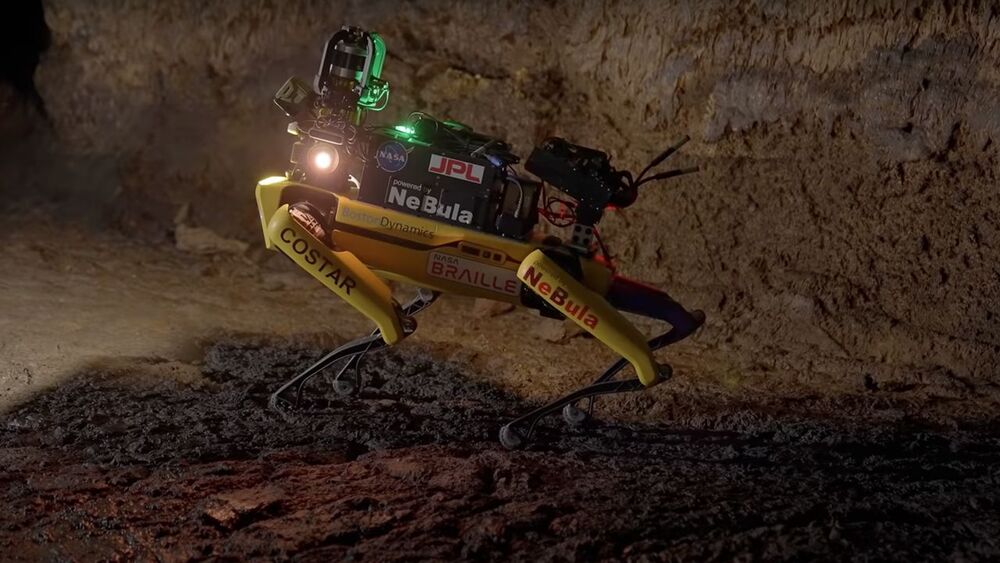 NASA Robot Köpek