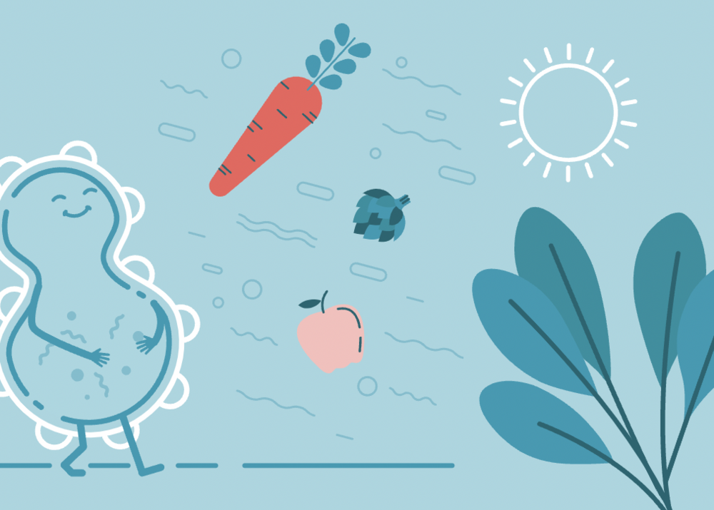 Antibiyotik kullandıktan sonra bağırsak sağlığı ne zaman düzelir?