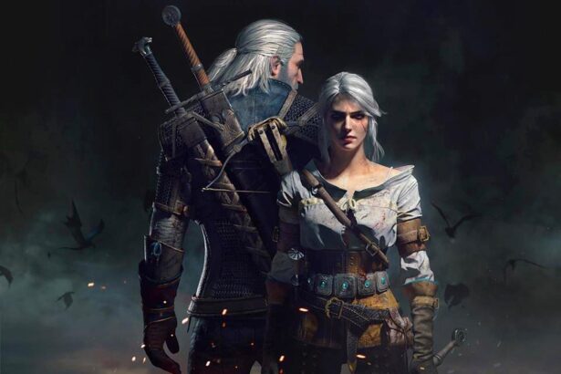 the witcher 4 1