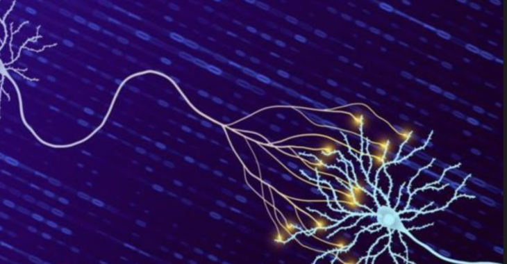 İnsan beyni önceden düşünülenden 10 kat daha fazla bilgi tutabiliyor