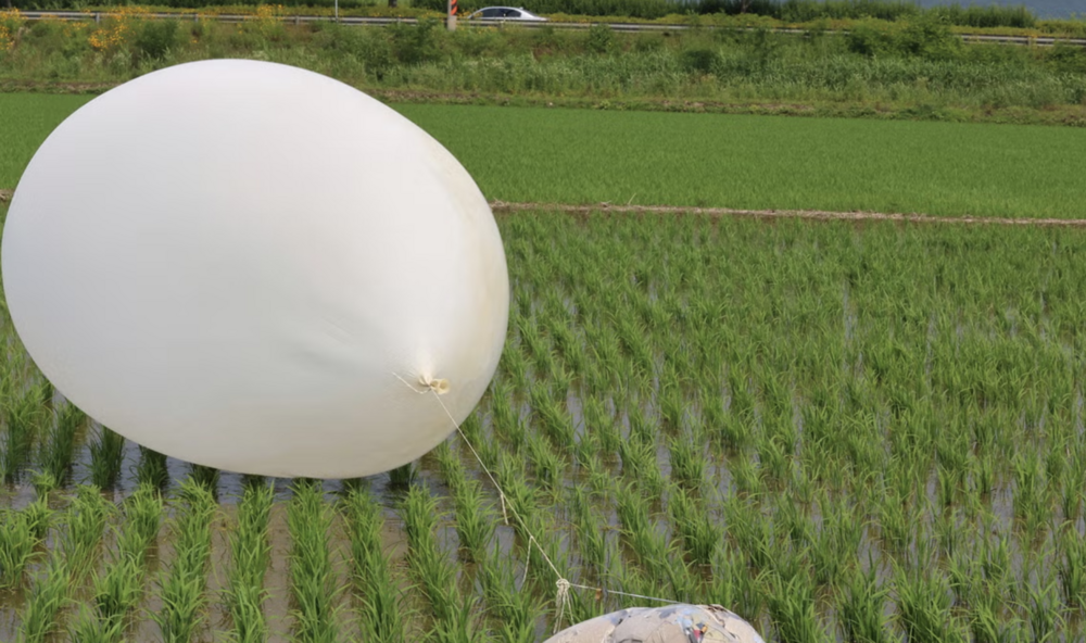 Güney Kore, Kuzey Kore'yi 'ölümcül bir bedel ödemekle' uyardı