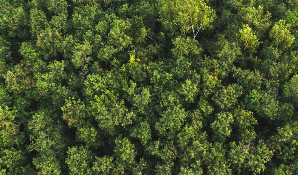 Sürdürülebilirlik Raporu