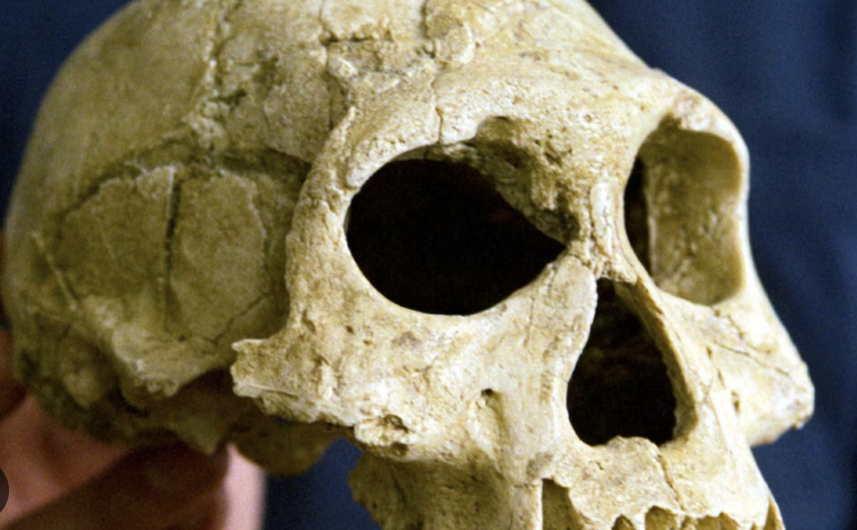 Bilim insanları, ilk insanlar hakkında keşifte bulundu
