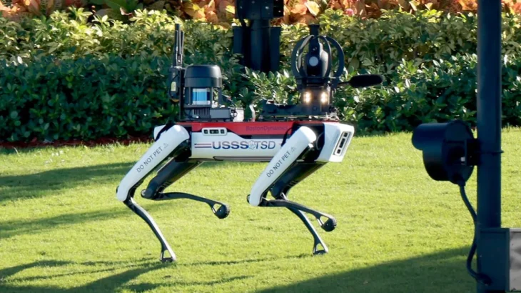robot köpek