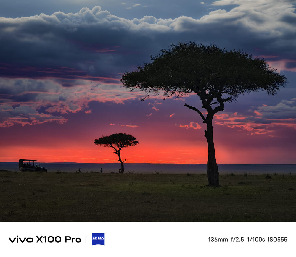 vivo X100 Pro