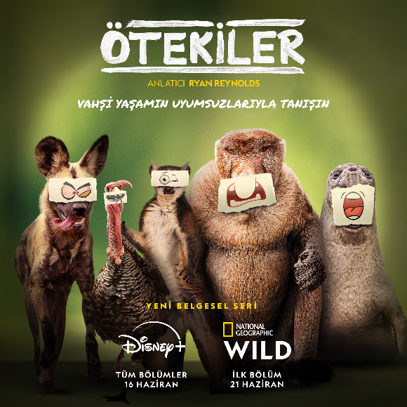 “Ötekileştirme”nin sadece insanlar arasında olduğunu düşünüyorsanız yanılıyorsunuz. Doğal dünyanın iyi, kötü ve açıkçası çirkin ama kahramanca ezilenlerine tanık olacağımız yeni belgesel dizi ‘Ötekiler’, Ryan Reynolds’ın seslendirmesiyle hem Disney+’ta hem de National Geographic WILD’da izleyicilerle buluşacak.   