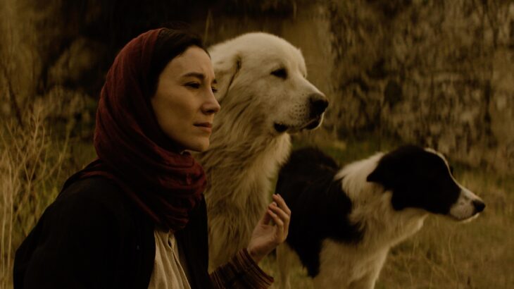 TV+ Temmuz Ayında Da Ekran Keyfini Zirveye Taşıyor! 27 TV+