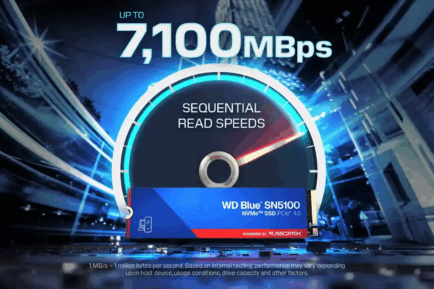 SanDisk WD Blue SN5100 Serisi Uygun Fiyatıyla Yüksek Hız Sunuyor 28 Sandisk WD Blue-2