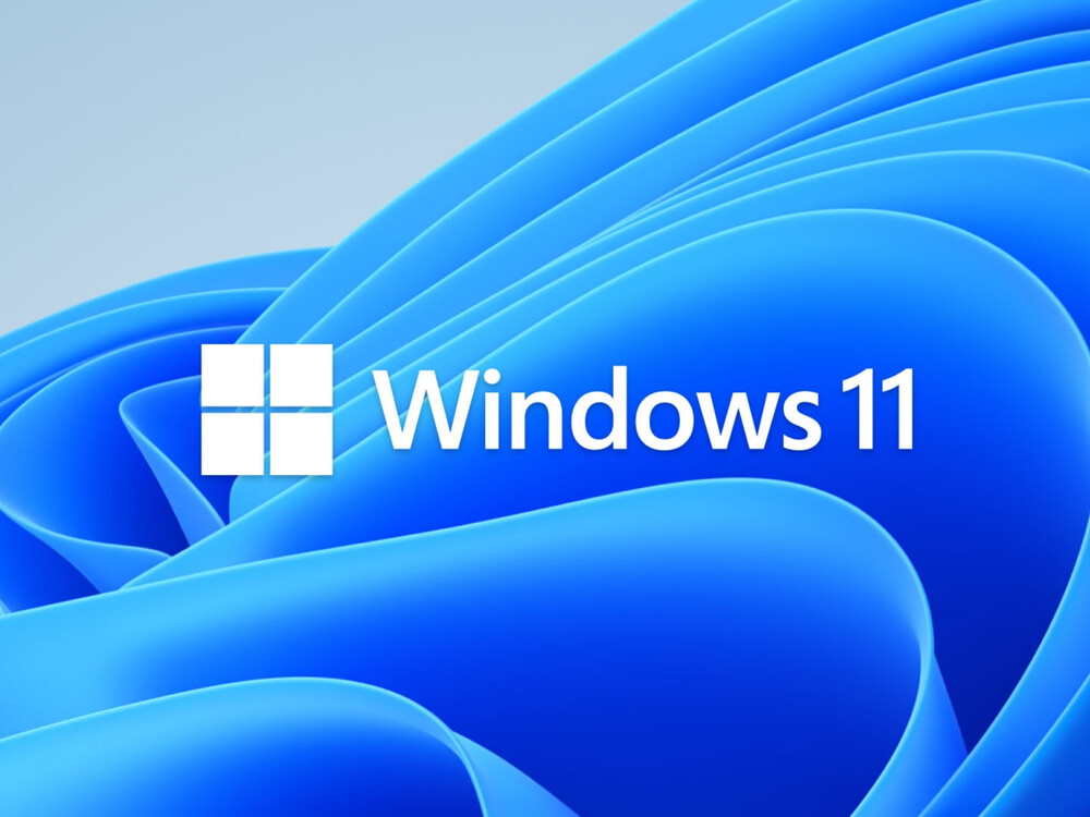 Windows11 Banner