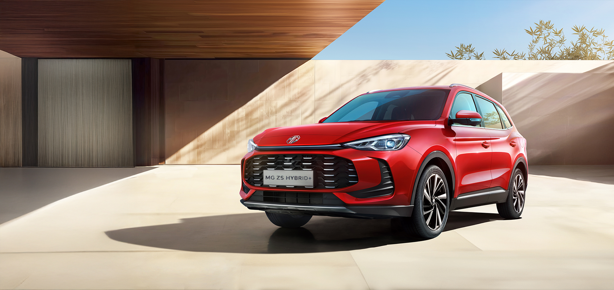 ZS Hybrid