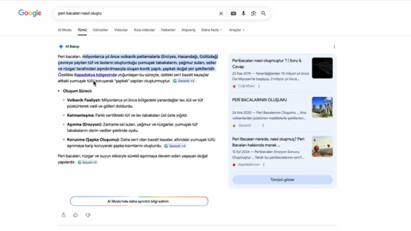 Google Arama’da Gemini 3 Dönemi 3 Google Arama’da Gemini 3 Dönemi