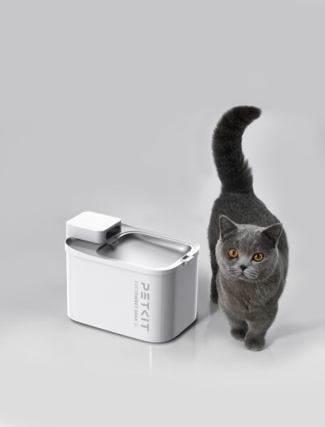 Eversweet Max 2 : Evcil Hayvanlarda Yetersiz Su Tüketimi Riskine Karşı Yeni Nesil Çözüm 3 Eversweet Max