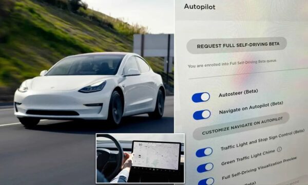 Tesla Bir Minivandan "Daha Havalı" Bir Şey İnşa Ediyor
