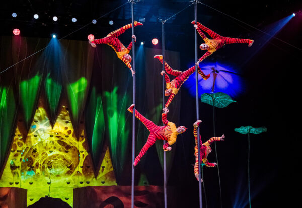CIRQUE DU SOLEIL 10 YIL SONRA İSTANBUL’DA! 3 Cirque du Soleil,