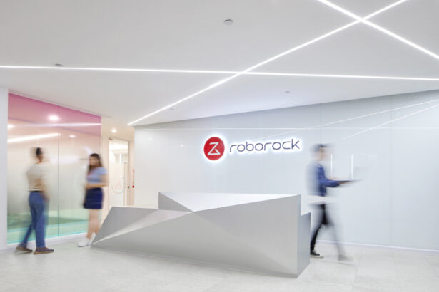 Roborock