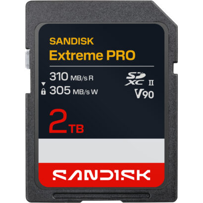 sandisk
