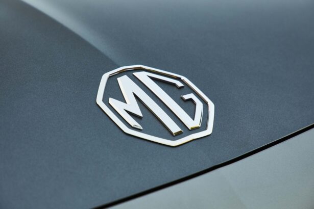  MG,