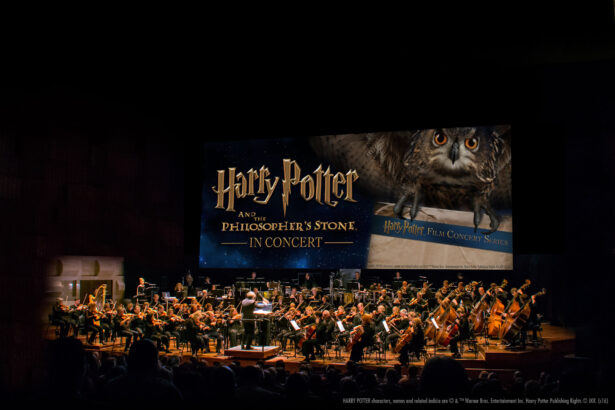 Harry Potter ve Ateş Kadehi In Concert İstanbul ve Ankara’da