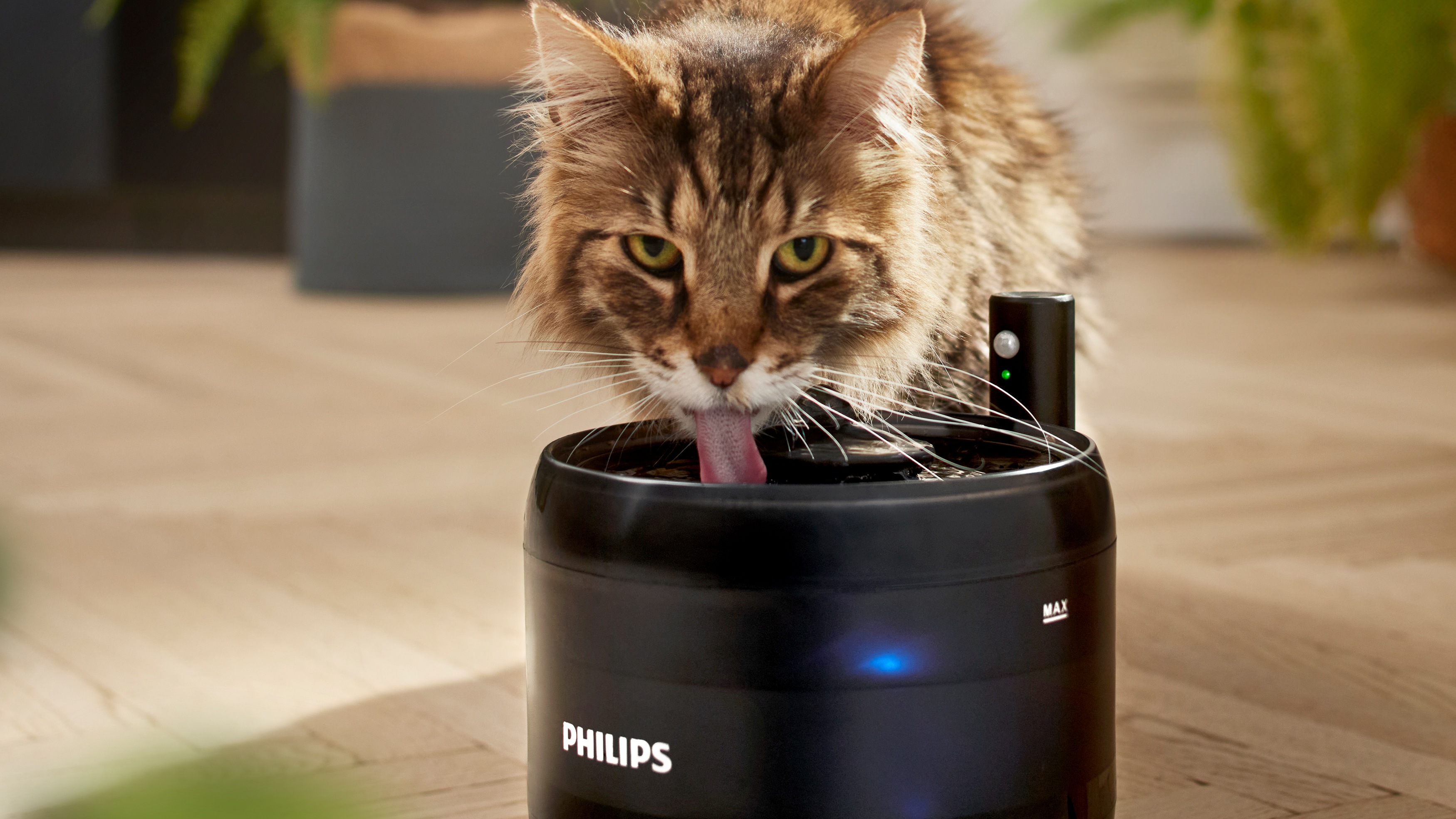 Philips Akıllı Pet Serisi : Evcil Hayvan Bakımında Hayatı Kolaylaştıran Çözümler