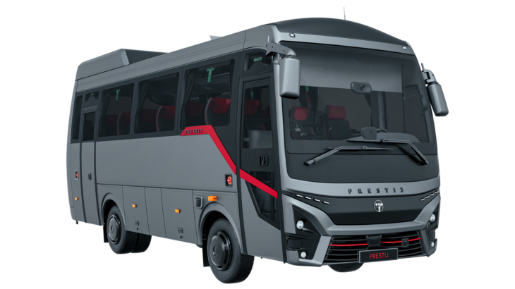 TEMSA