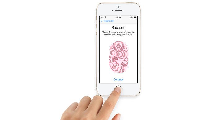 3017088 inline i 2 touch id iphone 5s