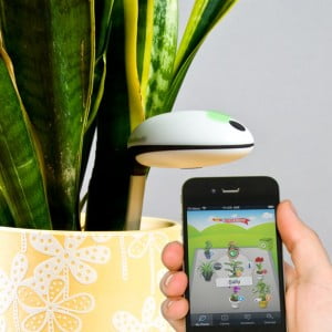 Koubachi Wi Fi Plant Sensor