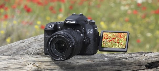 SampleJM5A0530 35 giris