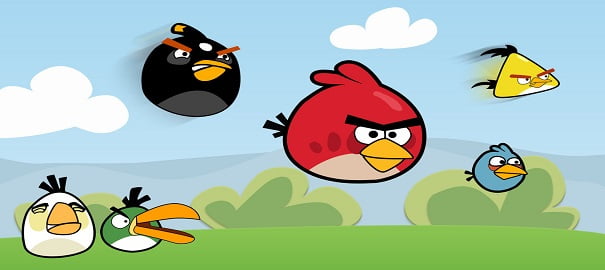 angry bird