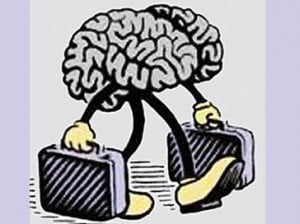 beyin göçü 248003