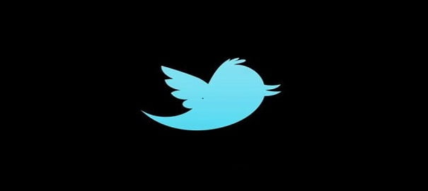 Twitter'ın Tablete Özel Uygulaması Duyuruldu 1 twit logo