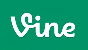 vine