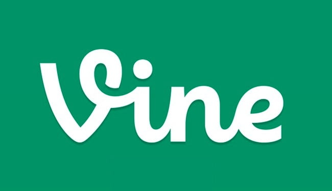 vine